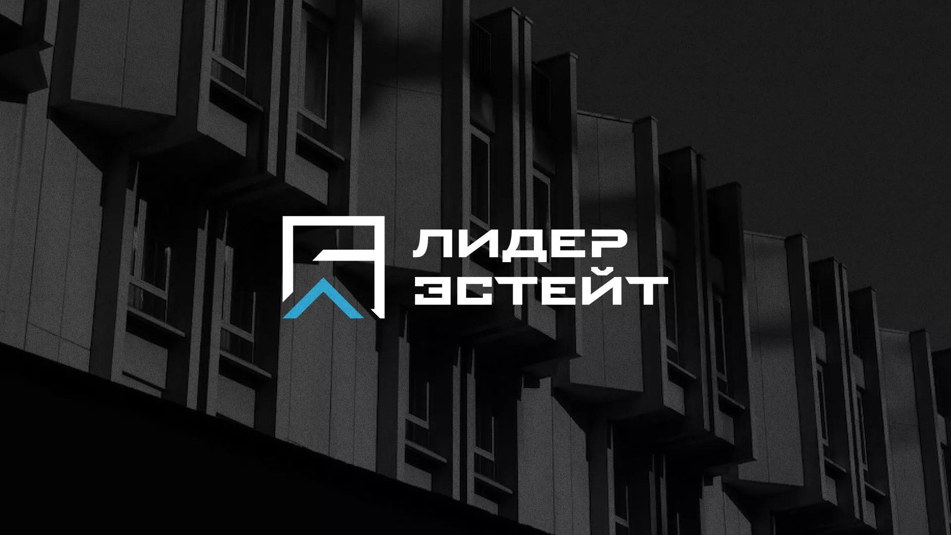 Разработка логотипа агентства недвижимости «Лидер Эстейт» в Усть-Куте